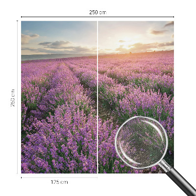 Zelfklevend fotobehang op maat Lavendelvelden