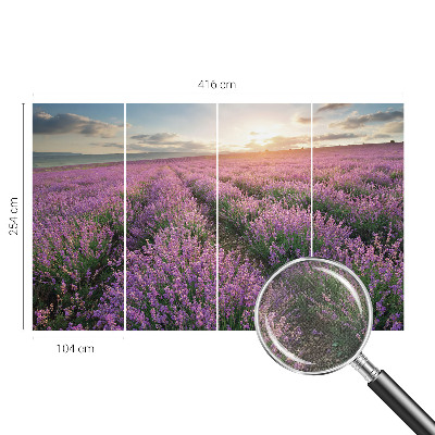 Zelfklevend fotobehang op maat Lavendelvelden