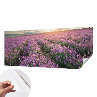 Zelfklevend fotobehang op maat Lavendelvelden