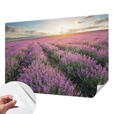 Zelfklevend fotobehang op maat Lavendelvelden
