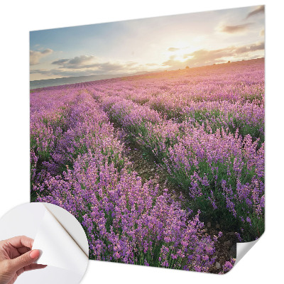 Zelfklevend fotobehang op maat Lavendelvelden