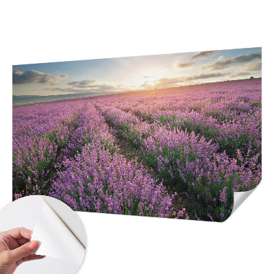 Zelfklevend fotobehang op maat Lavendelvelden
