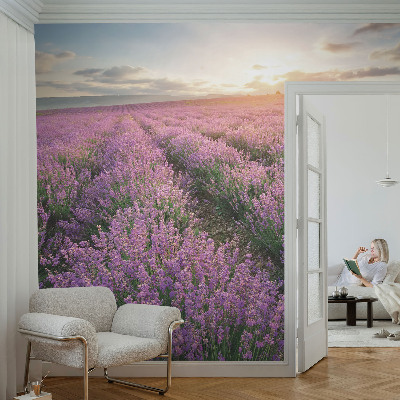 Zelfklevend fotobehang op maat Lavendelvelden