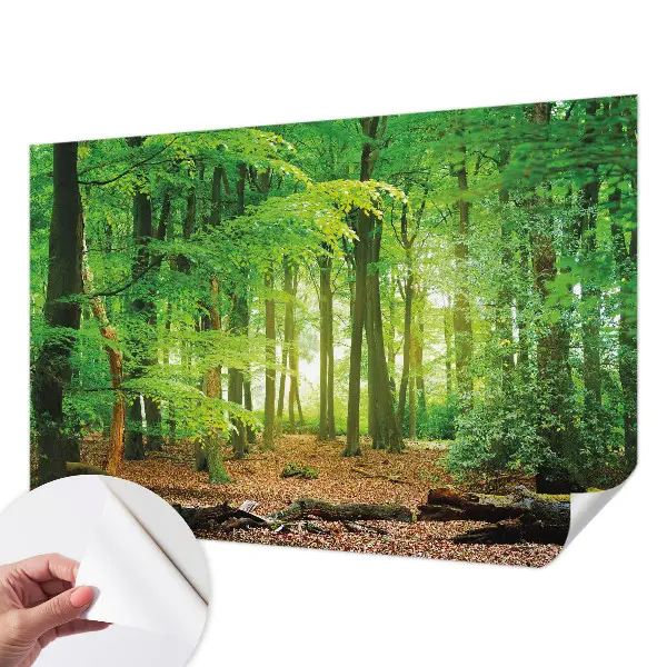 3D fotobehang met een motief van een groen bos