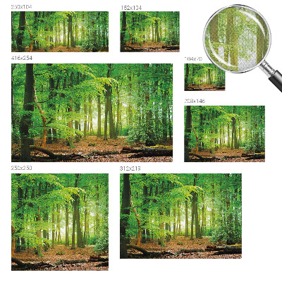 3D fotobehang Groen bos