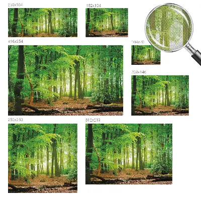 3D fotobehang met een motief van een groen bos