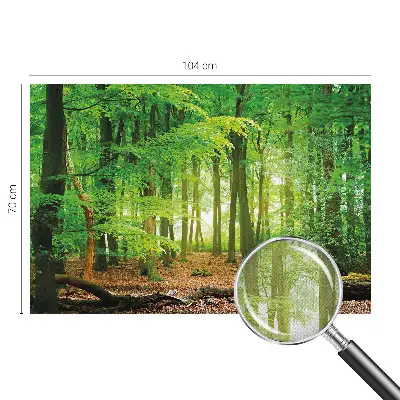 3D fotobehang met een motief van een groen bos