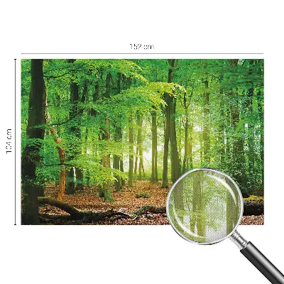 3D fotobehang met een motief van een groen bos