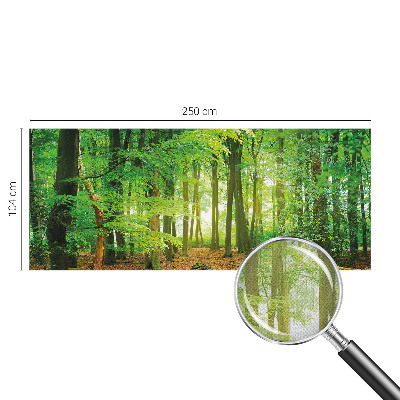 3D fotobehang Groen bos
