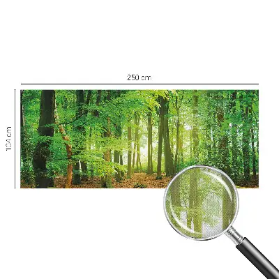3D fotobehang met een motief van een groen bos