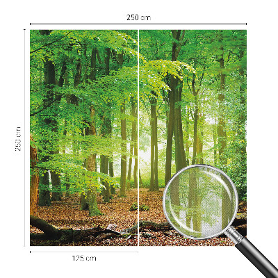 3D fotobehang Groen bos
