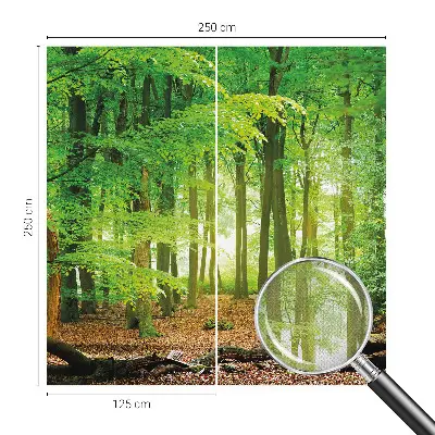 3D fotobehang met een motief van een groen bos