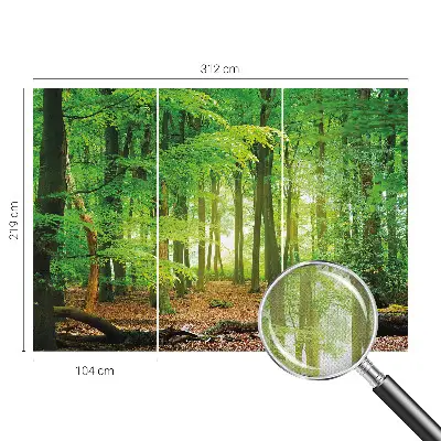 3D fotobehang met een motief van een groen bos