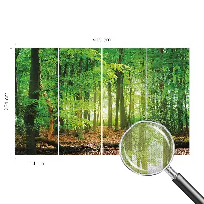 3D fotobehang met een motief van een groen bos
