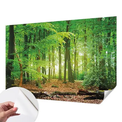 3D fotobehang met een motief van een groen bos