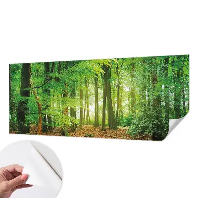 3D fotobehang met een motief van een groen bos