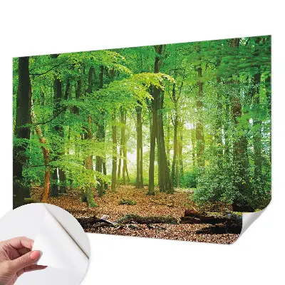 3D fotobehang met een motief van een groen bos