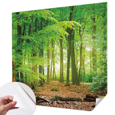 3D fotobehang Groen bos