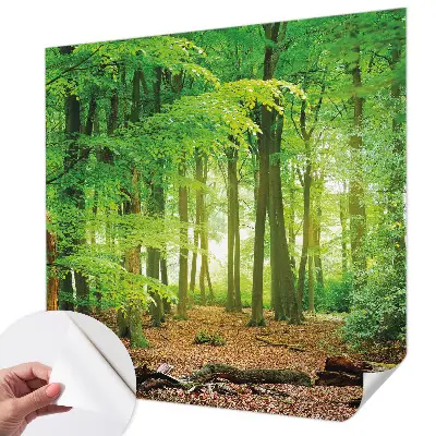 3D fotobehang met een motief van een groen bos