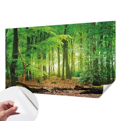 3D fotobehang met een motief van een groen bos