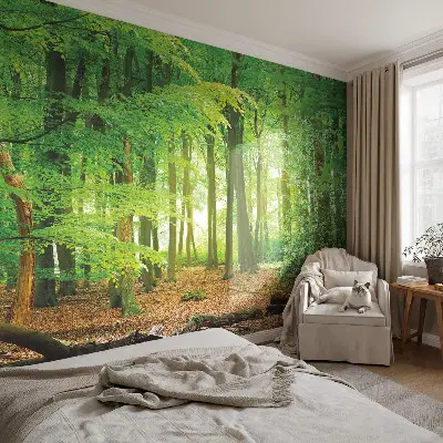 3D fotobehang met een motief van een groen bos