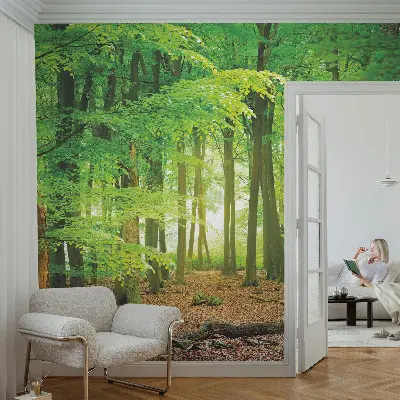 3D fotobehang met een motief van een groen bos