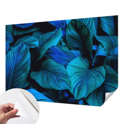 Fotobehang voor kinderkamer Blauwe bladeren