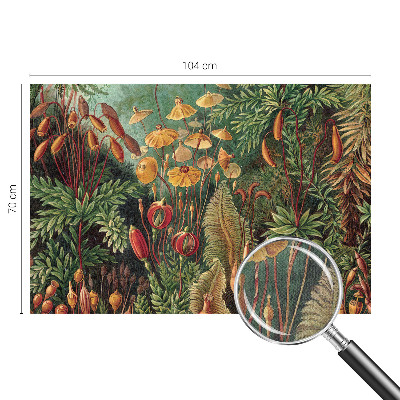 Zelfklevende behangsticker Exotische tuin