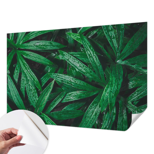 Fotobehang kinderkamer met een natuurmotief met begroeiing