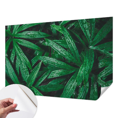 Fotobehang kinderkamer met een natuurmotief met begroeiing