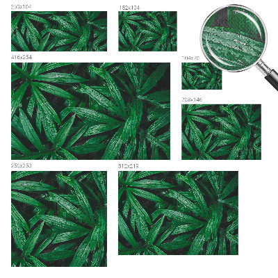 Fotobehang kinderkamer Natuurlijke begroeiing