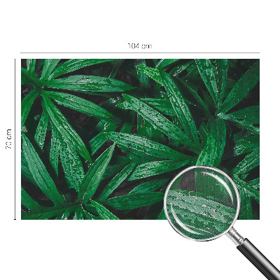 Fotobehang kinderkamer Natuurlijke begroeiing