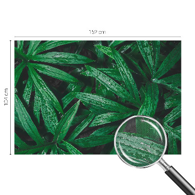 Fotobehang kinderkamer met een natuurmotief met begroeiing