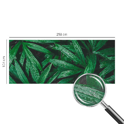 Fotobehang kinderkamer Natuurlijke begroeiing