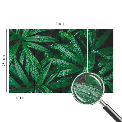 Fotobehang kinderkamer Natuurlijke begroeiing