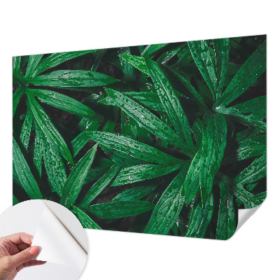 Fotobehang kinderkamer met een natuurmotief met begroeiing