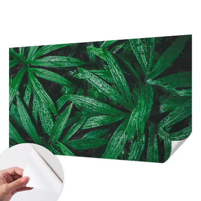 Fotobehang kinderkamer met een natuurmotief met begroeiing