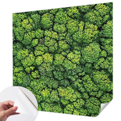 Fotobehang babykamer Bospanorama