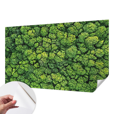 Fotobehang babykamer Bospanorama