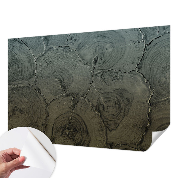 Foto behang voor de keuken Houten ringen