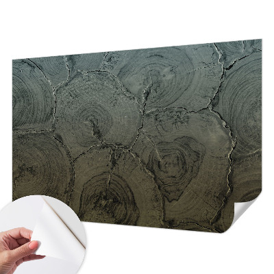 Foto behang voor de keuken Houten ringen