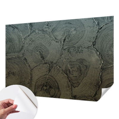 Foto behang voor de keuken Houten ringen