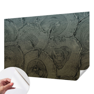 Foto behang voor de keuken met houten ringen