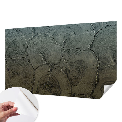 Foto behang voor de keuken met houten ringen