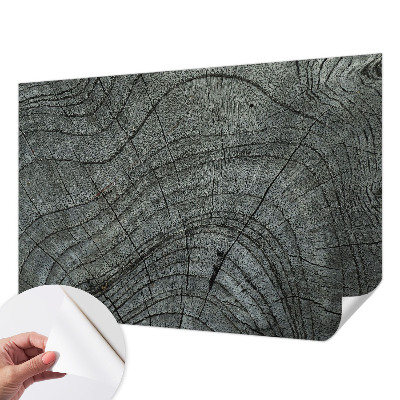 Fotobehang tienerkamer Korrelpatroon