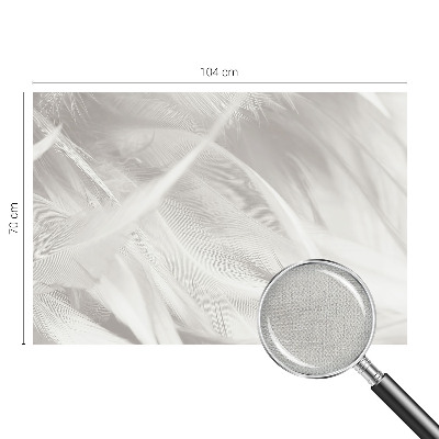 Fotobehang voor kinderkamer Subtiele veren