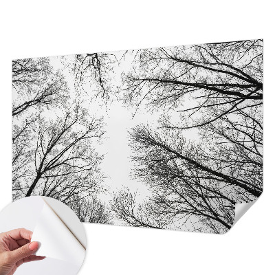 Fotobehang zelfklevend met een ontwerp van kale takken