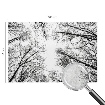 Fotobehang zelfklevend met een ontwerp van kale takken