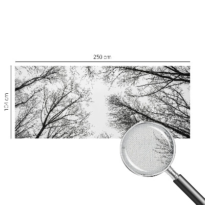 Fotobehang zelfklevend Kale takken