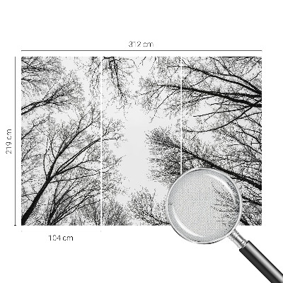 Fotobehang zelfklevend Kale takken